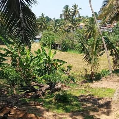 15 perch for sale.-2