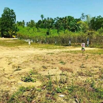 5 valuable plots near Kadawatha Wabada road for sale immediately.-7