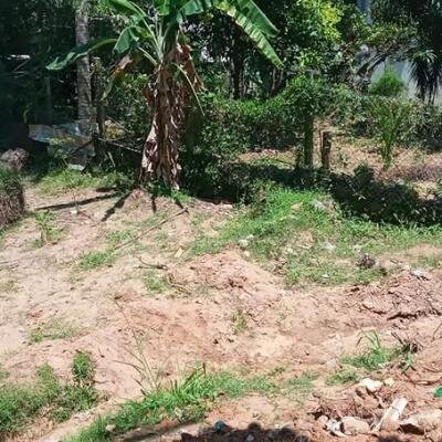 15 perch for sale.-8