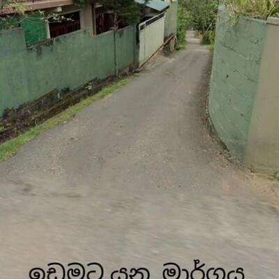 15 perch for sale.-5