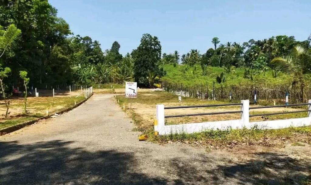 5 valuable plots near Kadawatha Wabada road for sale immediately.-6