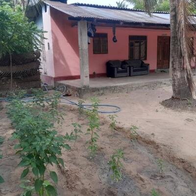 4 பரப்பு காணி மற்றும் வீடு விற்பனைக்கு உண்டு இடம்:கிளிநொச்சி-5