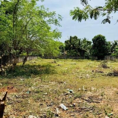 5 parappu ghani for sale near medical faculty in Kokuvil.