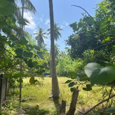 நீர்வேலி சிறுப்பிட்டியில் 2பரப்பு காணி விற்பனைக்கு-2