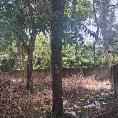 Jaffna - இராமநாதன் வீதி  அருகில் காணி விற்பனைக்கு உள்ளது.