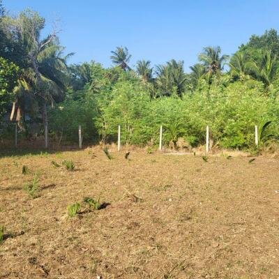 மனிப்பாய் இந்துக்கல்லூரியை அன்மித்த பகுதியில் 3பரப்பு காணி விற்ப்பனைக்கு