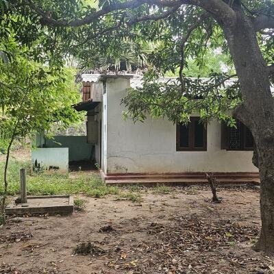 யாழ்ப்பாணம் கோண்டாவிலில் 4.25 பரப்பு காணியுடன் இடைக்கால வீடு விற்பனைக்கு