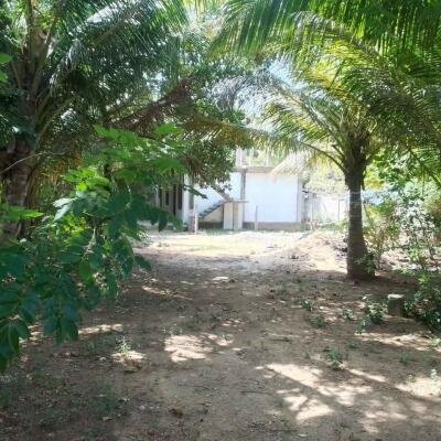 கைதடி - A9 வீதிக்கு அருகாமையில் அமைந்துள்ள, வீட்டுடன் கூடிய காணி விற்பனைக்கு prime location காணி