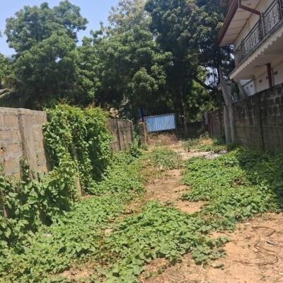 Jaffna - இராமநாதன் வீதி  அருகில் காணி விற்பனைக்கு உள்ளது.