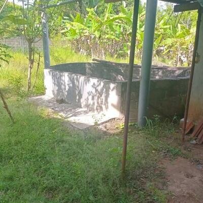 வவுனியா, தோணிக்கல், ஆலடி வீதிக்கு அருகில், 4 பரப்பு உறுதிக்காணி விற்பனைக்கு. 2 பக்க மதில், வீடு உள்ளது-6