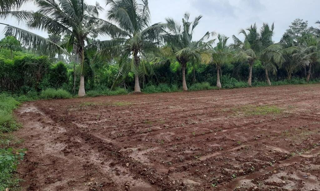 யாழ்ப்பாணம் - கீரிமலை நகுலேஸ்வரம் கோவில்க்கு அண்மையில் "கீரிமலை வீதியோரமாக" உள்ள காணி விற்பனைக்கு உள்ளது-6