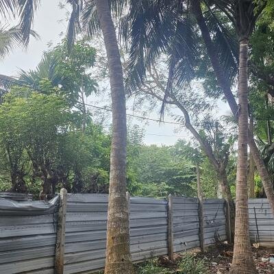 யாழ்ப்பாணம் கோண்டாவிலில் 4.25 பரப்பு காணியுடன் இடைக்கால வீடு விற்பனைக்கு-3