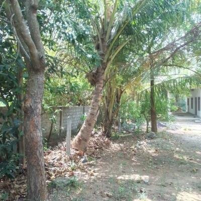 கைதடி - A9 வீதிக்கு அருகாமையில் அமைந்துள்ள, வீட்டுடன் கூடிய காணி விற்பனைக்கு prime location காணி