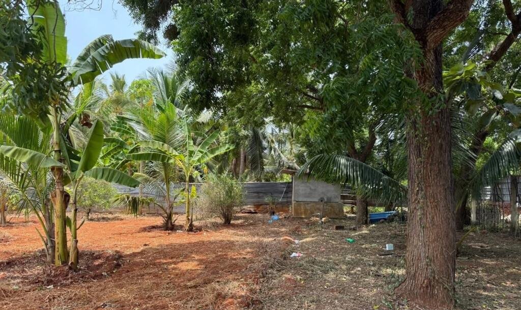 யாழ்ப்பாணம் புன்னாலைக்கட்டுவனில் 12.5 பரப்பு செம்மண் காணி விற்பனைக்கு-3