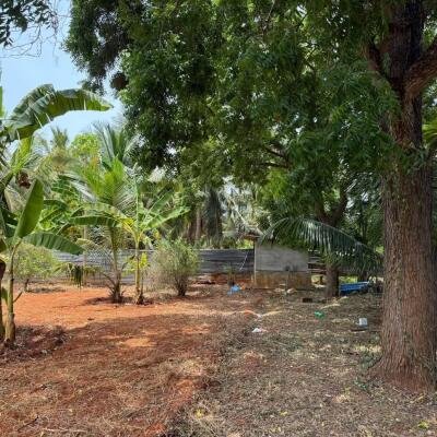 யாழ்ப்பாணம் புன்னாலைக்கட்டுவனில் 12.5 பரப்பு செம்மண் காணி விற்பனைக்கு