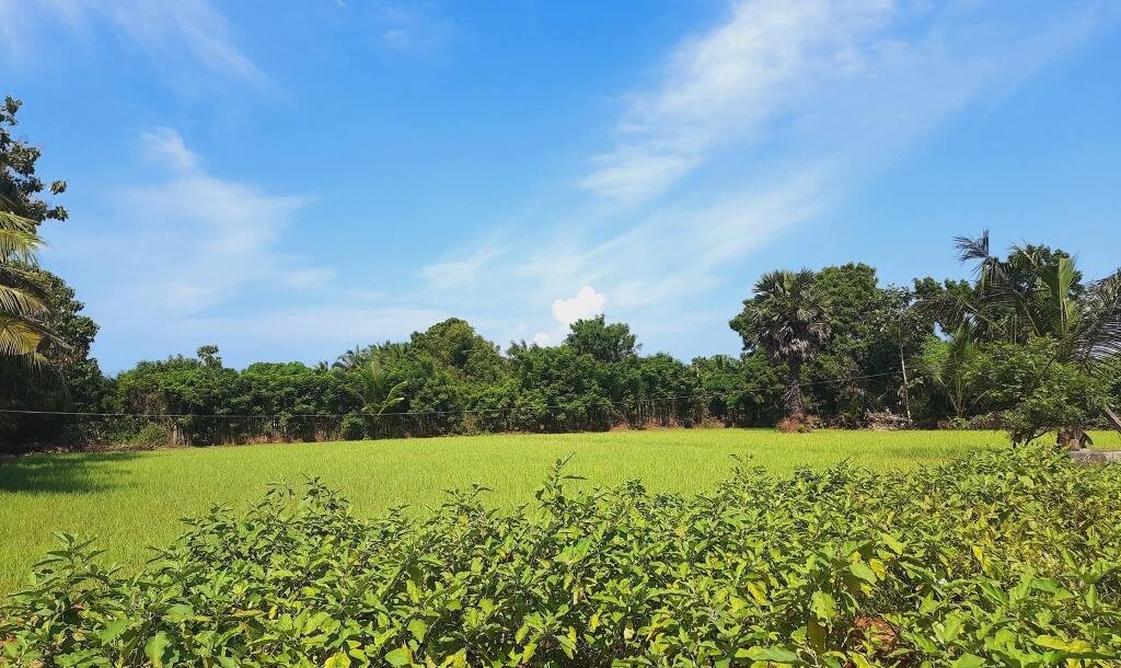 யாழ்ப்பாணம் - கீரிமலை நகுலேஸ்வரம் கோவில்க்கு அண்மையில் "கீரிமலை வீதியோரமாக" உள்ள காணி விற்பனைக்கு உள்ளது-1