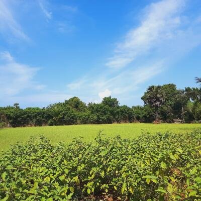 யாழ்ப்பாணம் - கீரிமலை நகுலேஸ்வரம் கோவில்க்கு அண்மையில் "கீரிமலை வீதியோரமாக" உள்ள காணி விற்பனைக்கு உள்ளது