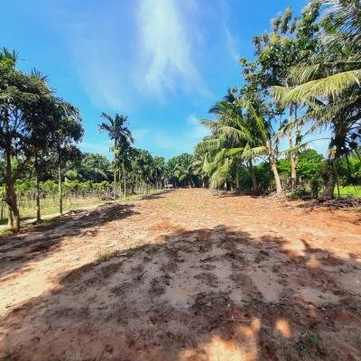 யாழ்ப்பாணம் - கீரிமலை நகுலேஸ்வரம் கோவில்க்கு அண்மையில் "கீரிமலை வீதியோரமாக" உள்ள காணி விற்பனைக்கு உள்ளது