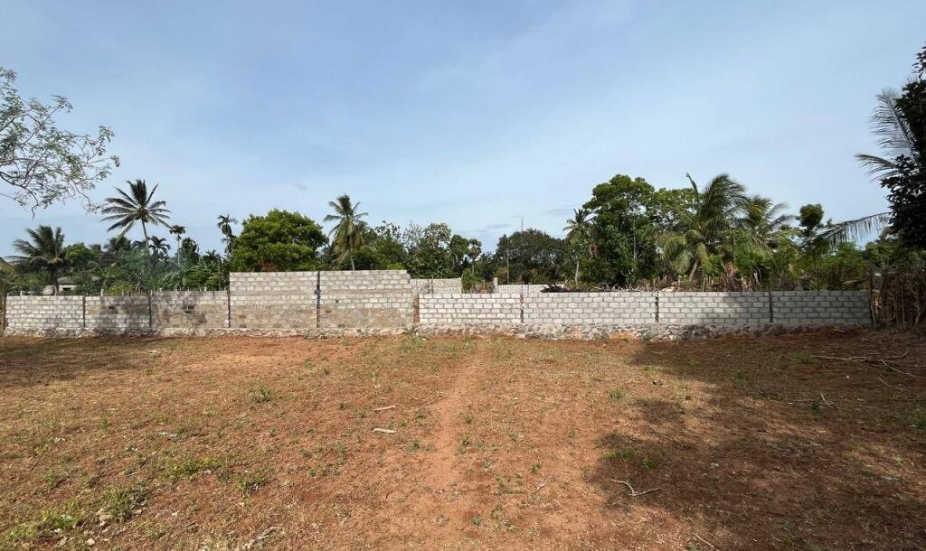 வவுனியா பாரதிபுரம் பகுதியில் 𝟐 பக்கம் மதிலுடன் கூடிய 𝟒 பரப்புக் காணி விற்பனைக்கு உள்ளது-1