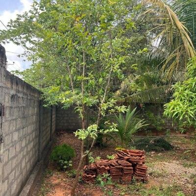 பருத்தித்துறை மந்திகை வைத்தியசாலையை அண்மித்து 2.5பரப்பு காணி சுற்றுமதிலோடு விற்பனைக்கு