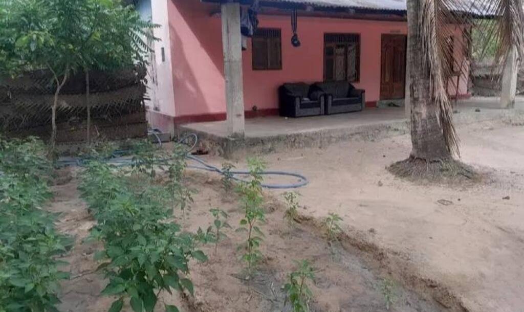 4 பரப்பு காணி மற்றும் வீடு விற்பனைக்கு உண்டு இடம்:கிளிநொச்சி-2