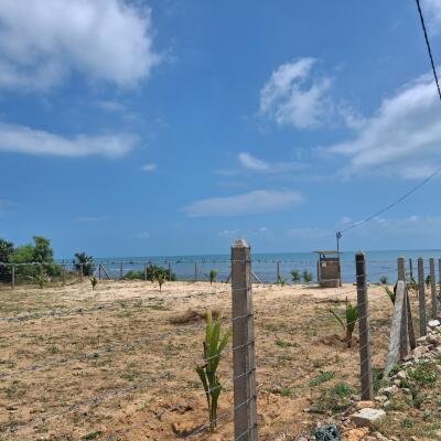 யாழ்ப்பாணம் கே.கே.எஸ்   கடற்கரை முகப்போடு காணி விற்பனைக்கு.