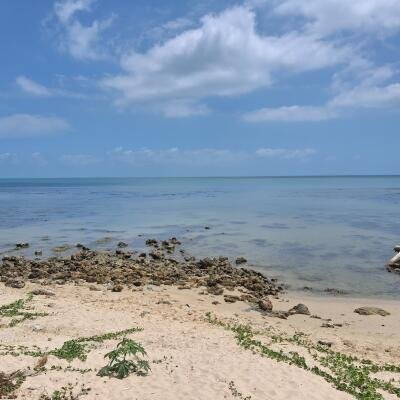 யாழ்ப்பாணம் கே.கே.எஸ்   கடற்கரை முகப்போடு காணி விற்பனைக்கு.