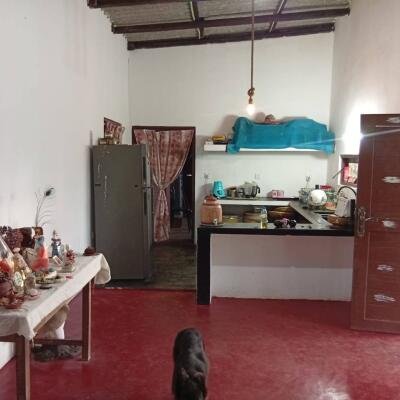 வவுனியா #கண்ணாடி #கணேசபுரம் பகுதியில் வீடு மற்றும் 𝟓𝟑 தென்னை மரங்களுடன் கூடிய 𝟐 ஏக்கர்க் காணி விற்பனைக்கு உள்ளது