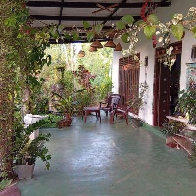 வவுனியா #கண்ணாடி #கணேசபுரம் பகுதியில் வீடு மற்றும் 𝟓𝟑 தென்னை மரங்களுடன் கூடிய 𝟐 ஏக்கர்க் காணி விற்பனைக்கு உள்ளது