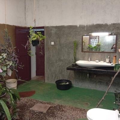 வவுனியா #கண்ணாடி #கணேசபுரம் பகுதியில் வீடு மற்றும் 𝟓𝟑 தென்னை மரங்களுடன் கூடிய 𝟐 ஏக்கர்க் காணி விற்பனைக்கு உள்ளது