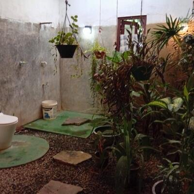 வவுனியா #கண்ணாடி #கணேசபுரம் பகுதியில் வீடு மற்றும் 𝟓𝟑 தென்னை மரங்களுடன் கூடிய 𝟐 ஏக்கர்க் காணி விற்பனைக்கு உள்ளது