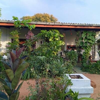 வவுனியா #கண்ணாடி #கணேசபுரம் பகுதியில் வீடு மற்றும் 𝟓𝟑 தென்னை மரங்களுடன் கூடிய 𝟐 ஏக்கர்க் காணி விற்பனைக்கு உள்ளது