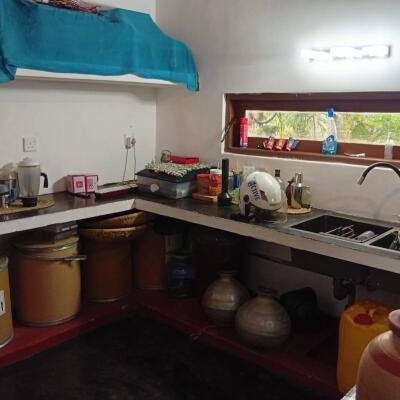 வவுனியா #கண்ணாடி #கணேசபுரம் பகுதியில் வீடு மற்றும் 𝟓𝟑 தென்னை மரங்களுடன் கூடிய 𝟐 ஏக்கர்க் காணி விற்பனைக்கு உள்ளது