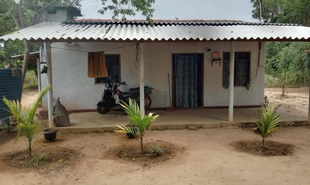 Shop and house sale-1