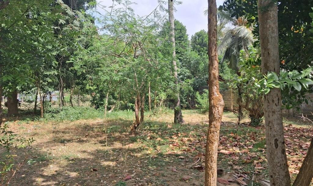 land for sale in 500 meters from Manipai Kuzhavadichandi.-2