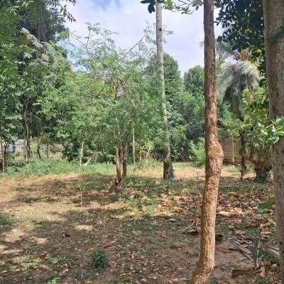 land for sale in 500 meters from Manipai Kuzhavadichandi.
