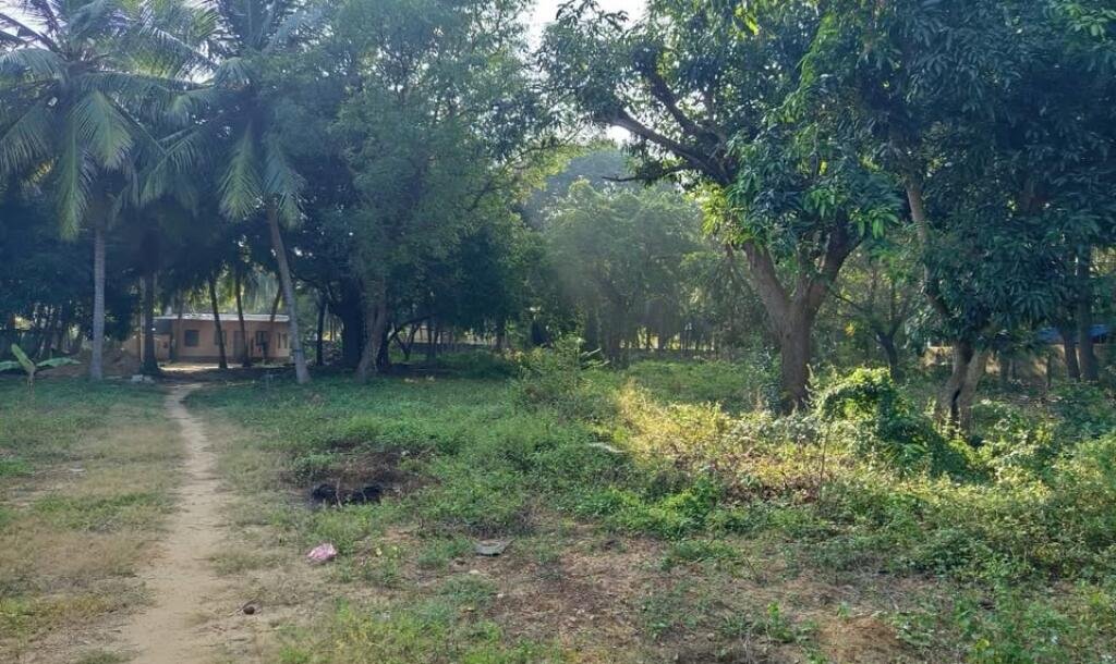 24 Parappu Residential Land For Sale in Nedungulam Road in Ariyalai, Jaffna-3