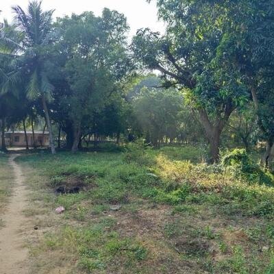 24 Parappu Residential Land For Sale in Nedungulam Road in Ariyalai, Jaffna