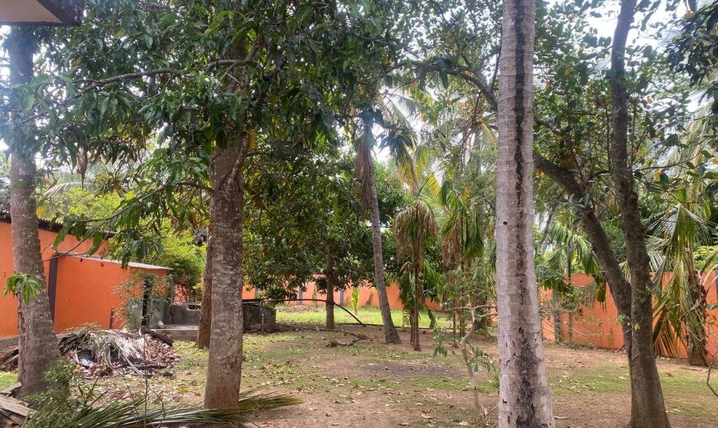 8 Spacious Farmer House with Round Wall for Sale along Neriyakulam Main Road-13