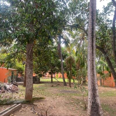 8 Spacious Farmer House with Round Wall for Sale along Neriyakulam Main Road