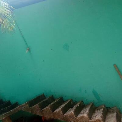 1 lobby house with 3 sides round wall for sale near #Jaffna #Navandurai.