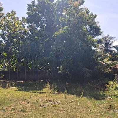 யாழ்ப்பாணம் உடுவில் மானிப்பாய் பிரதான வீதியிலிருந்து 300 மீட்டர் தூரத்தில்  காணி விற்பனைக்கு