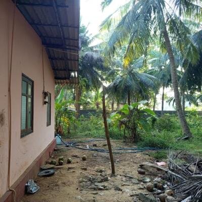 24 Parappu Residential Land For Sale in Nedungulam Road in Ariyalai, Jaffna