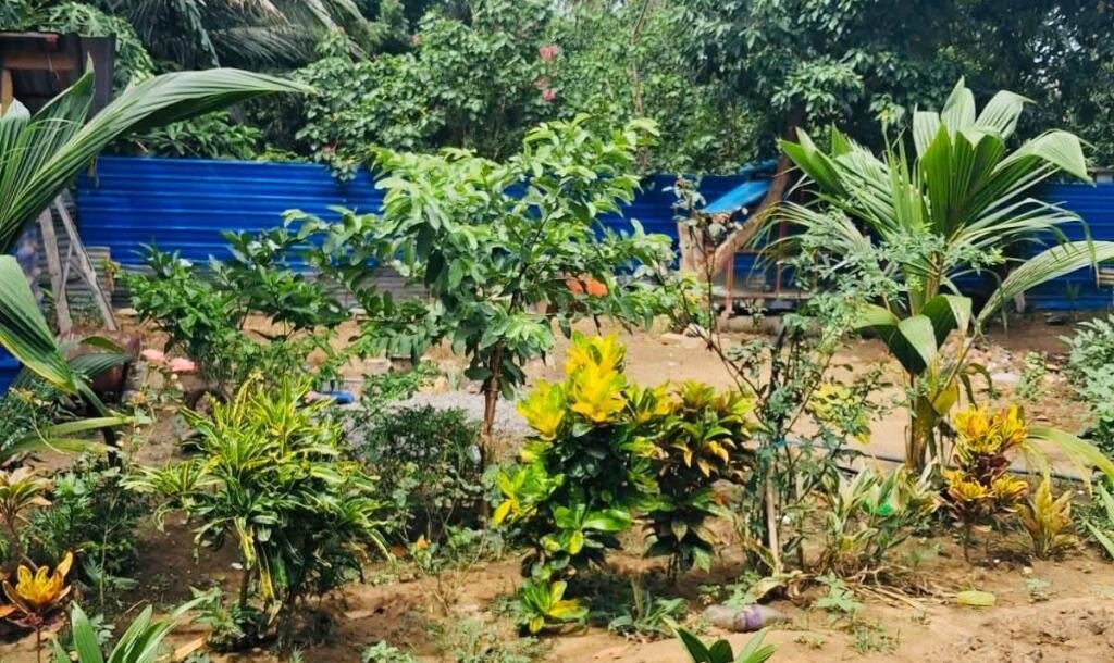 யாழ் மானிப்பாய் பகுதியில் 2.5 பரப்பு காணியில் அமைந்த வடக்கு வாசல் புதிய வீடு விற்பனைக்கு-2