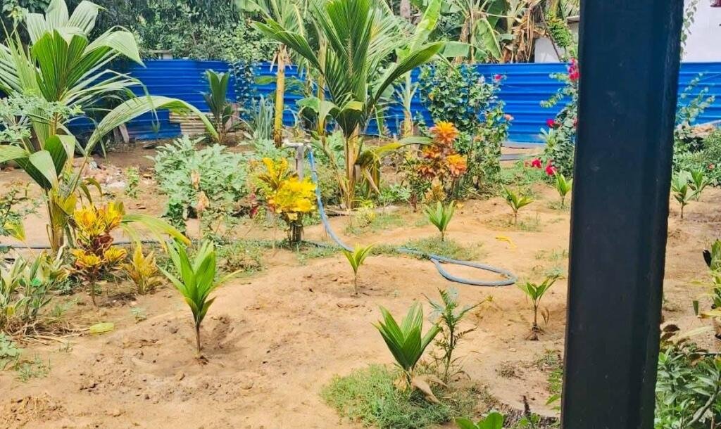 யாழ் மானிப்பாய் பகுதியில் 2.5 பரப்பு காணியில் அமைந்த வடக்கு வாசல் புதிய வீடு விற்பனைக்கு-10