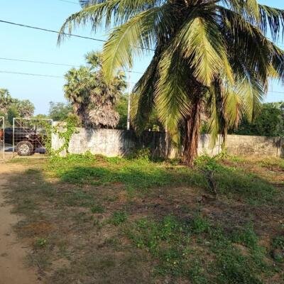 24 Parappu Residential Land For Sale in Nedungulam Road in Ariyalai, Jaffna