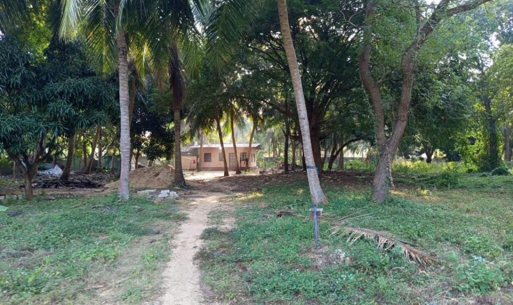 24 Parappu Residential Land For Sale in Nedungulam Road in Ariyalai, Jaffna-2
