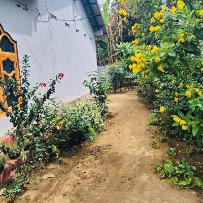 யாழ் மானிப்பாய் பகுதியில் 2.5 பரப்பு காணியில் அமைந்த வடக்கு வாசல் புதிய வீடு விற்பனைக்கு