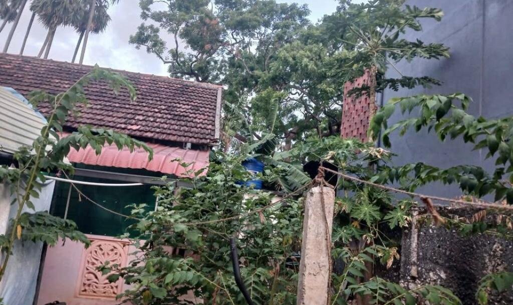 யாழ்.பருத்தித்துறை சாரையடியில்  காணி #மேற்கு வாசல் வீட்டுடன் விற்பனைக்கு..-2