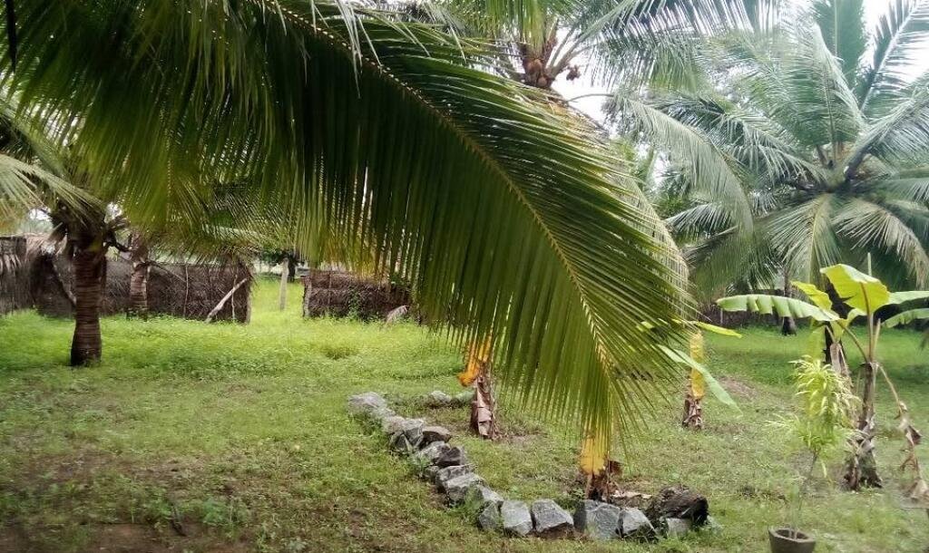 House for sale in Kilinochchchi Aanaivilunthan area-2